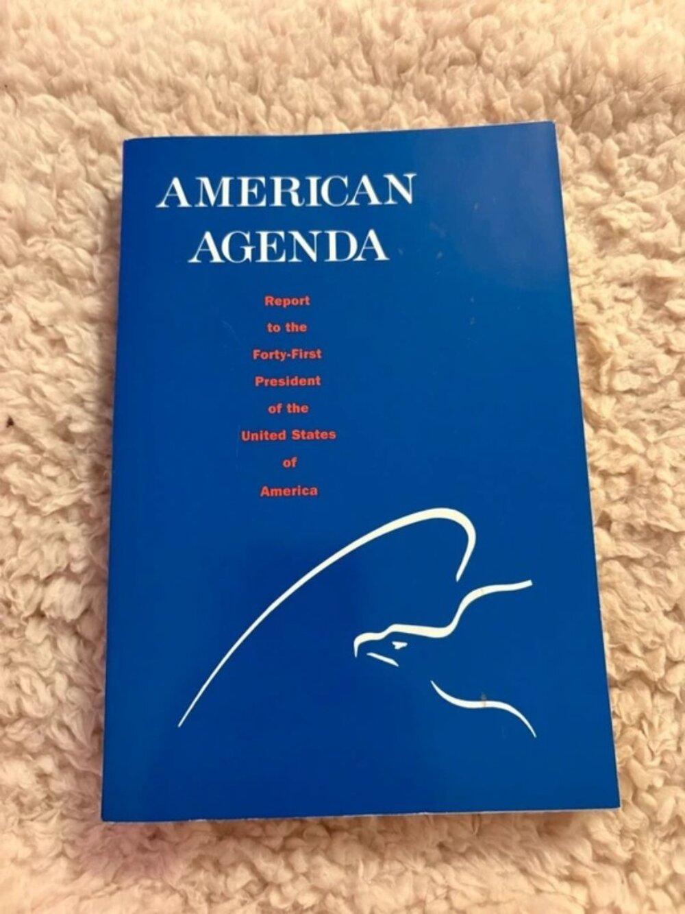 American Agenda: Report to the Forty-First President of the US